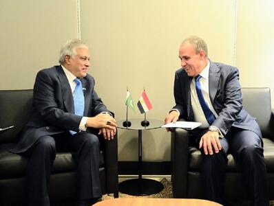  بررسی آخرین تحولات خاورمیانه در دیدار وزرای خارجه پاکستان و مصر