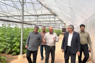 توسعه کشتهای گلخانهای؛ موتور محرک اشتغال و اقتصاد پایدار در روستاهای خرمدره