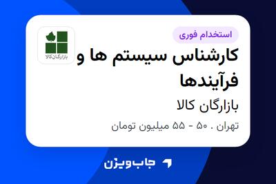 استخدام کارشناس سیستم ها و فرآیندها در بازارگان کالا