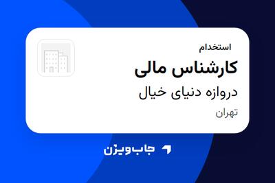 استخدام کارشناس مالی در دروازه دنیای خیال