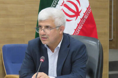 کیان‌مهر: نباید تأمین کالاهای اساسی به مرحله بحران برسد