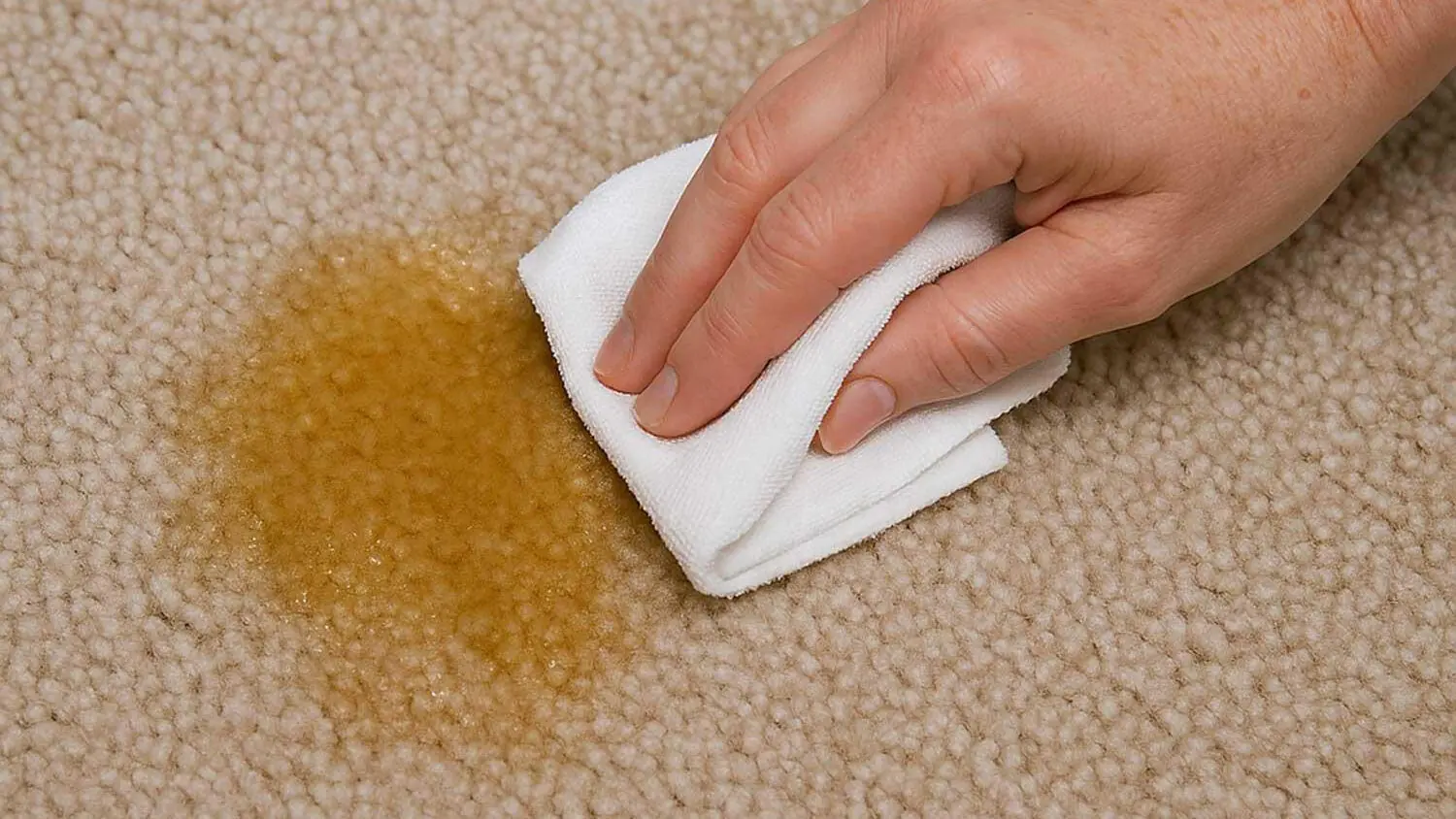 بوی ادرار از روی فرش چطور از بین می رود؟ این ترفندها را امتحان کنید
