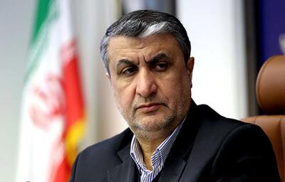 خیلی مذبوحانه از حضور من در کنفرانس وین جلوگیری کردند، اما در پایان آمریکاییها مبهوت شدند