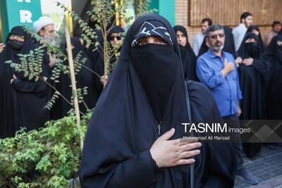 عکس/تشییع پیکر آیتالله العظمی شبیری زنجانی در قم | آخرین خبر