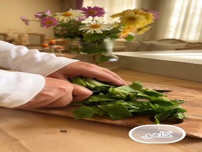  سالاد ویژه مخصوص شام و مهمونی | آخرین خبر