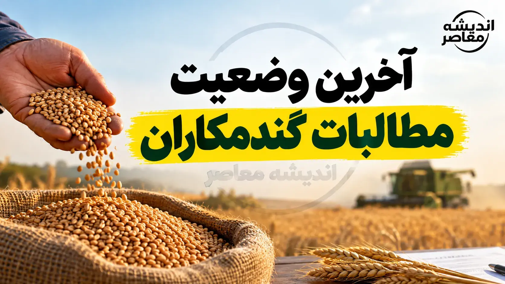 آخرین وضعیت مطالبات گندمکاران در یکم مهر ۱۴۰۵ | واریز ۲۷۵ همت و وعده پرداخت ۱۰۰ همت دیگر