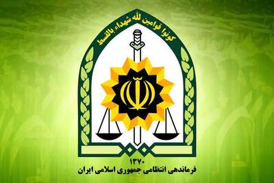  بلاگر حاشیه‌ساز مجازی متوقف شد/ توضیح پلیس
