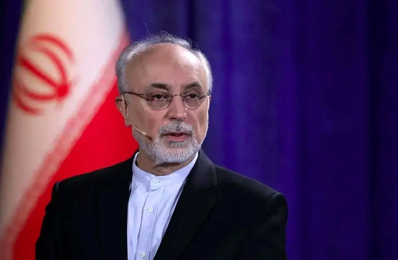 صالحی: عدم حضور پزشکیان در سازمان ملل نیاز به توجیه خیلی قوی دارد/ حضور رئیسجمهور در سازمان ملل یعنی رساندن پیام مظلومیت ایران به کل جهان