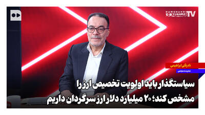 سیاستگذار باید اولویت تخصیص ارز را مشخص کند؛ ۲۰ میلیارد دلار ارز سرگردان داریم