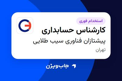  استخدام کارشناس حسابداری در پیشتازان فناوری سیب طلایی