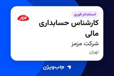  استخدام کارشناس حسابداری مالی در شرکت مزمز
