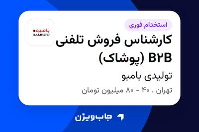  استخدام کارشناس فروش تلفنی B2B (پوشاک) در تولیدی بامبو