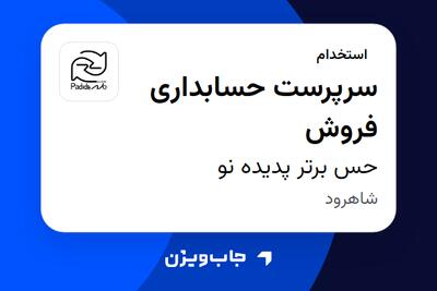 استخدام سرپرست حسابداری فروش در حس برتر پدیده نو