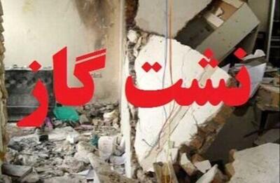  مهار سریع حادثه نشت گاز از تأسیسات یک سردخانه / عملیات هم‌افزایی با آتش‌نشانی برای کنترل آلودگی