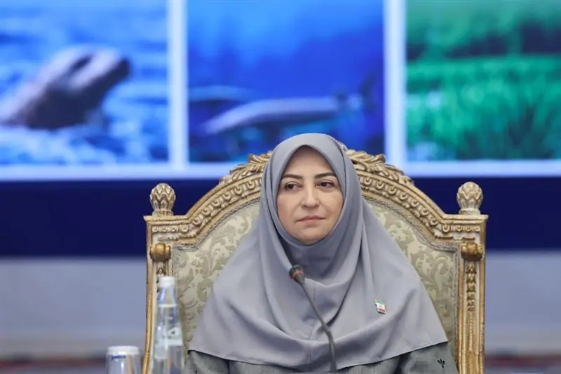 برنامه منطقهای حفاظت از فوک خزری در بیانیه نهایی خزر گنجانده شد - تسنیم