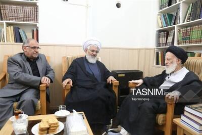  درویش‌امیری: مجذوب ادب، آرامش و ساده‌زیستی آیت‌الله شبیری هستم - تسنیم
