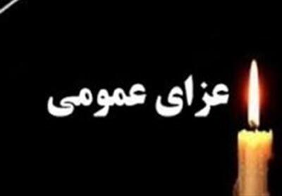  هیئت دولت در پی رحلت آیت‌الله شبیری‌زنجانی امروز عزای عمومی اعلام کرد - تسنیم
