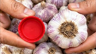 ۵ روش آسان برای پوست کندن سیر بدون دخالت دست