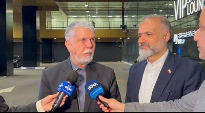  صالحی: دیپلماسی فرهنگی، پیام هویت ایران را به جهانیان منتقل می‌کند
