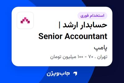  استخدام حسابدار ارشد | Senior Accountant در پامپ