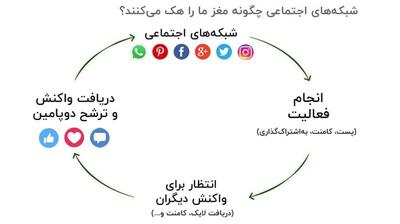 میگنا - تأثیر هورمون‌ها بر استفاده از رسانه‌ها و شبکه‌های اجتماعی