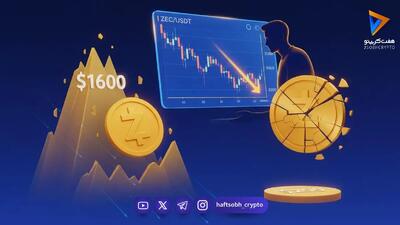  تحلیل قیمت زی‌کش (ZEC): آیا پس از افت ۸ درصدی، سقوط تا ۲۰۰ دلار در انتظار است؟