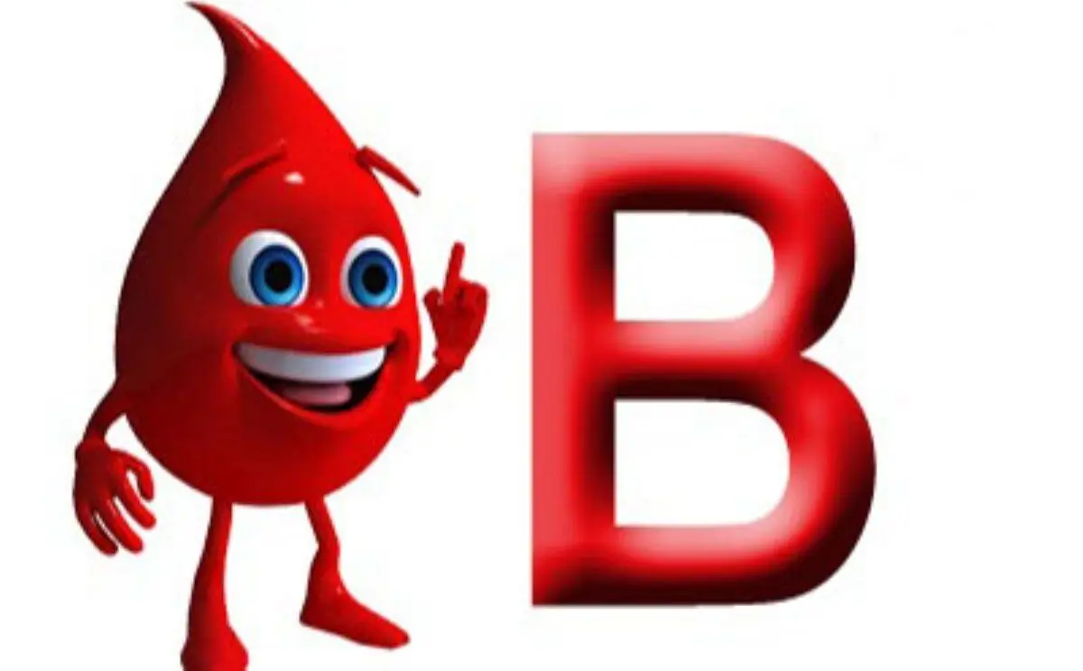 همه چیز درباره گروه خونی B مثبت؛ از اهدا تا دریافت خون
