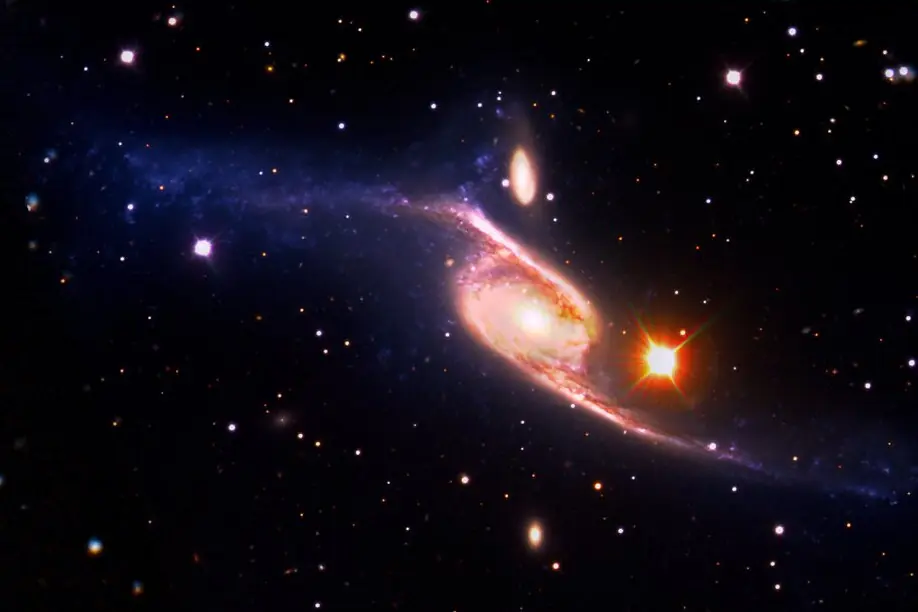 کهکشان NGC 55 را رصد کنید