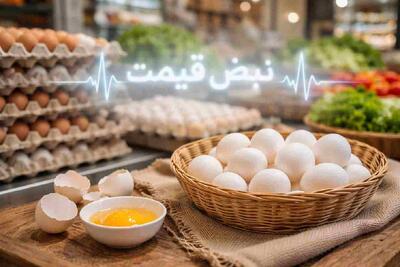  قیمت تخم مرغ امروز جمعه ۳ مهر ۱۴۰۵ │ اختلاف شانه‌ها چشمگیر است و خرید خانوار به کدام عدد نزدیک‌تر می‌شود