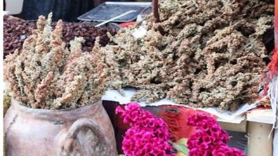  نخستین جشنواره سماق در سروآباد برگزار شد