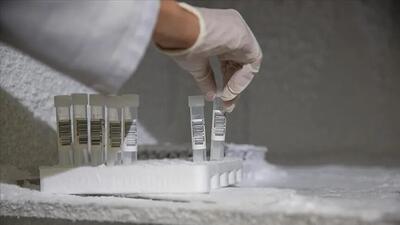  مسیرهای جایگزین تامین مواد اولیه دارو فعال است