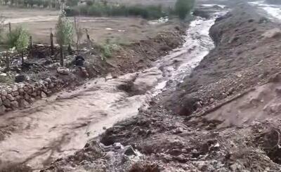  فیلم/ جاری شدن سیلاب در روستاهای فیروزکوه
