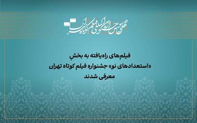  آثار راه‌یافته به بخش «استعداد نو» جشنواره فیلم‌کوتاه تهران معرفی شدند