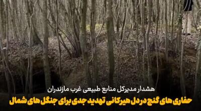 فیلم | هیرکانی در تسخیر سودجویان گنج
