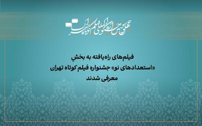  آثار راه‌یافته به بخش «استعداد نو» جشنواره فیلم‌کوتاه تهران معرفی شدند