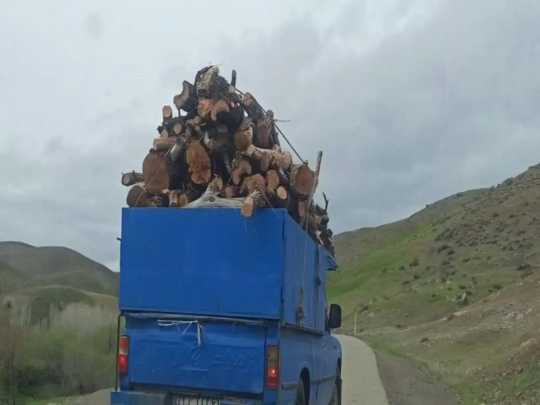  کشف چوب قاچاق در لاهیجان