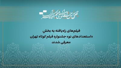  آثار راه‌یافته به بخش «استعداد نو» جشنواره فیلم‌کوتاه تهران معرفی شدند