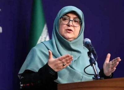  سخنگوی دولت تایید کرد: پیشنهاد آمریکا دریافت شد - اکونیوز