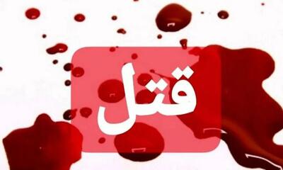 راز قتل چوپان در یافتآباد فاش شد/ صاحب طویله دستگیر شد