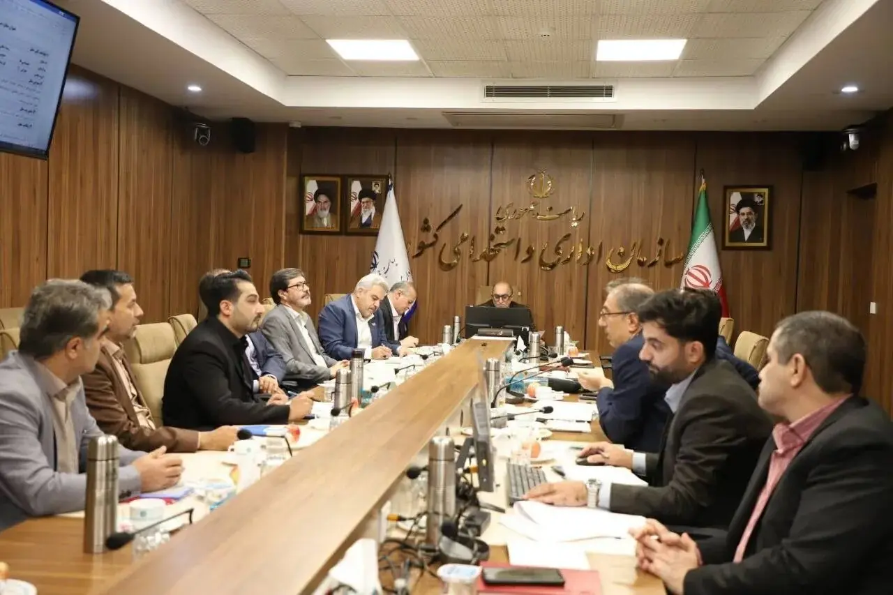 ساماندهی نیروهای شرکتی و بازنگری مشاغل تخصصی در دستور کار دولت
