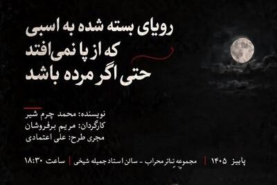  از رؤیای کریستف کلمب تا صحنه تئاتر؛ روایت هنرمندان کم‌بینا در سالن جملیه شیخی