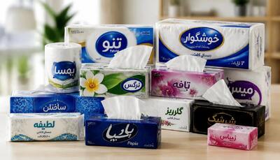  قیمت دستمال کاغذی امروز ۸ مهر ۱۴۰۵ │ اختلاف قیمت بسته‌های پرمصرف بیشتر شد
