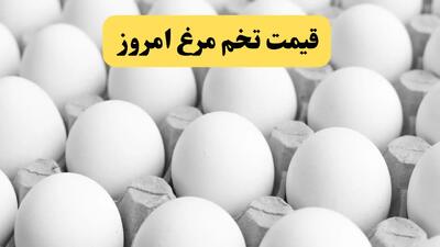  قیمت تخم مرغ امروز ۸ مهر ۱۴۰۵؛ شانه تخم مرغ چند تومان شد؟