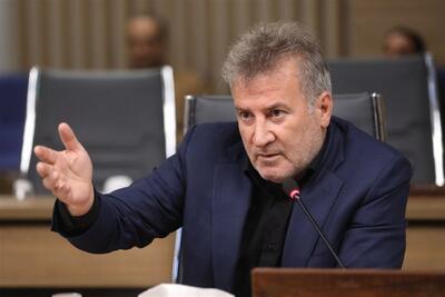  حاجی‌پور: افت تولید گندم نتیجه بی‌توجهی به سیاست‌های حمایتی است - تسنیم