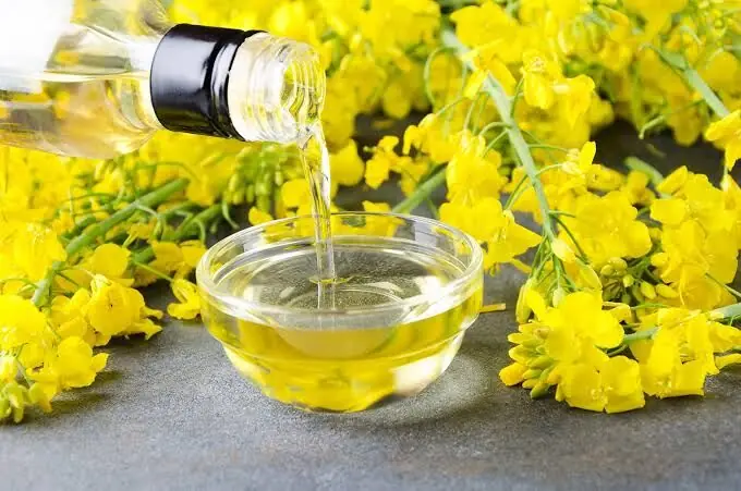 بهترین روغن برای استفاده سالمندان!