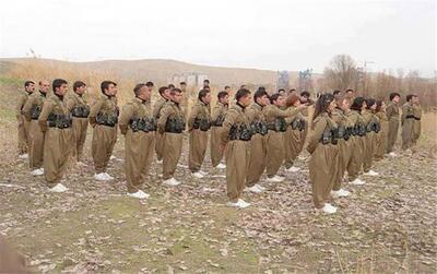  تسنیم : خبر «ورود گروه‌های مسلح آموزش دیده به کشور و استقرار آن‌ها در برخی محلات»، کذب است