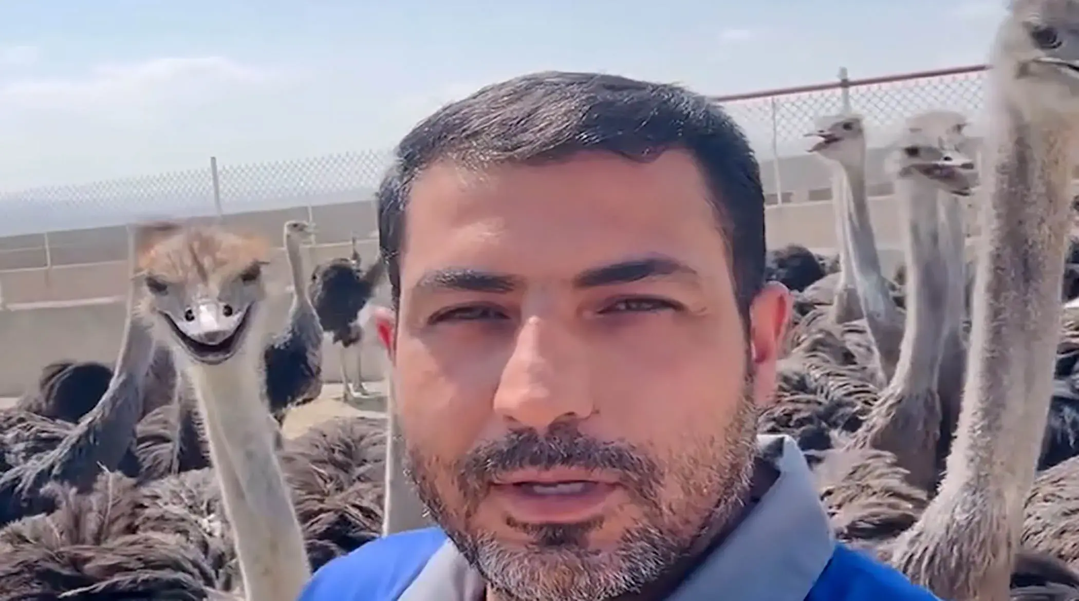  لحظه سرقت میکروفن توسط شترمرغ