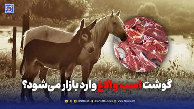  گوشت اسب و الاغ وارد بازار می‌شود؟
