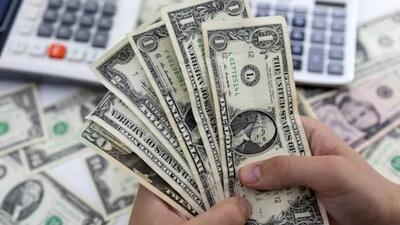 بانک مرکزی چگونه ترمز دلار را میکشد؟
