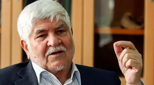 محمد هاشمی: برخی برای مطرح کردن خودشان با دولت مخالفت میکنند